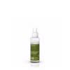 Hand Sanitizing Spray